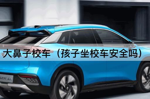 大鼻子校车（孩子乘坐的安全性探讨）