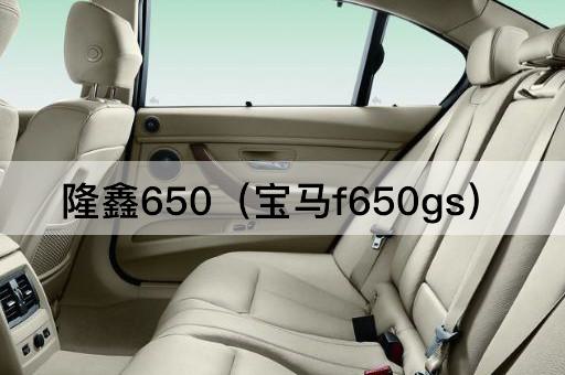 隆鑫650（宝马G650GS）