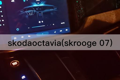 skodaoctavia(skrooge 07)