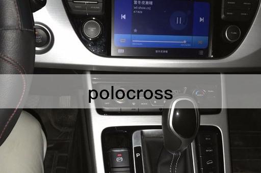 polocross