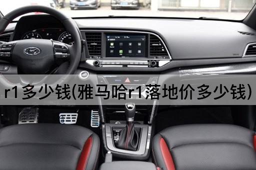 r1多少钱(雅马哈r1落地价多少钱)