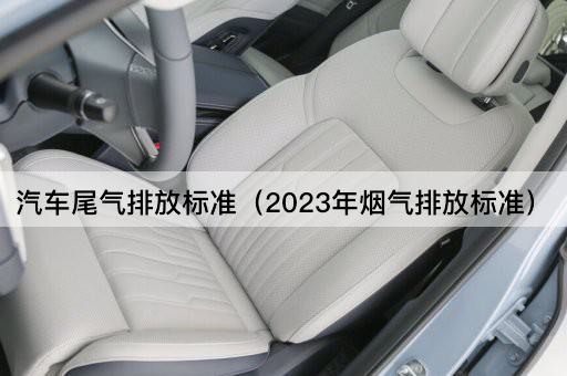 汽车尾气排放标准（2023年烟气排放标准）