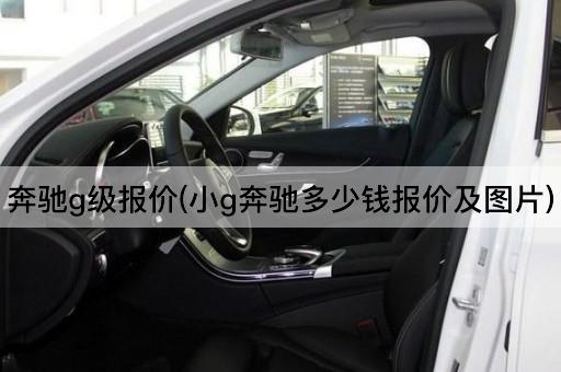 奔驰g级报价(小g奔驰多少钱报价及图片)