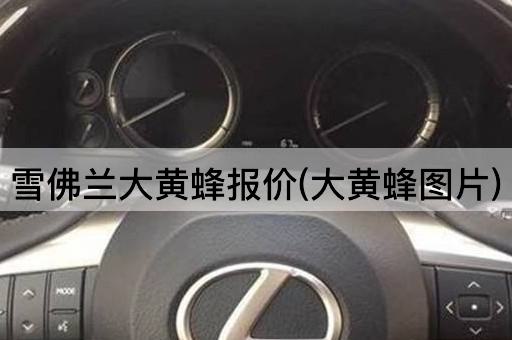 雪佛兰大黄蜂报价(大黄蜂图片)