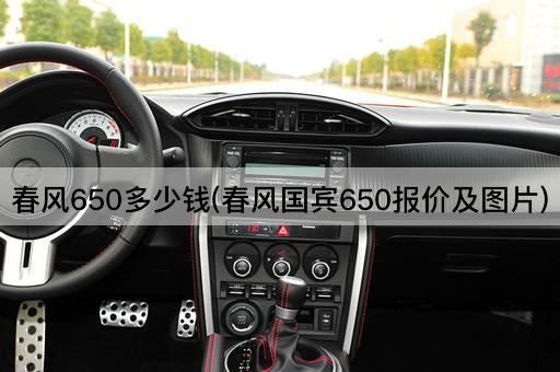 春风650多少钱(春风国宾650报价及图片)
