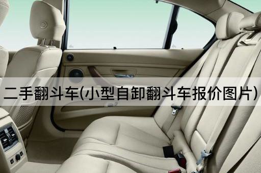 二手翻斗车(小型自卸翻斗车报价图片)