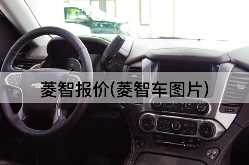 菱智报价(菱智车图片)