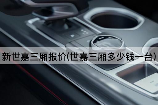 新世嘉三厢报价(世嘉三厢多少钱一台)