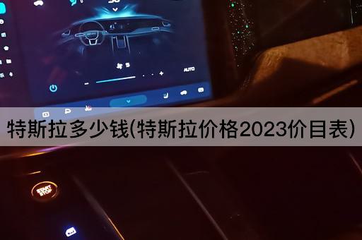 特斯拉多少钱(特斯拉价格2023价目表)