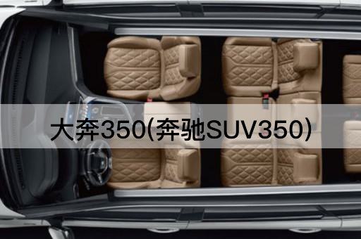 大奔350(奔驰SUV350)