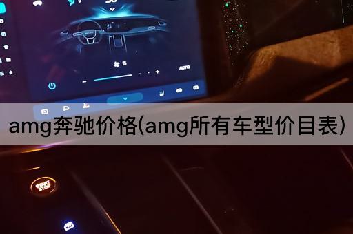 amg奔驰价格(amg所有车型价目表)