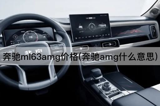 奔驰ml63amg价格(奔驰amg什么意思)