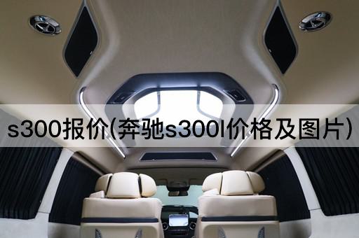 s300报价(奔驰s300l价格及图片)