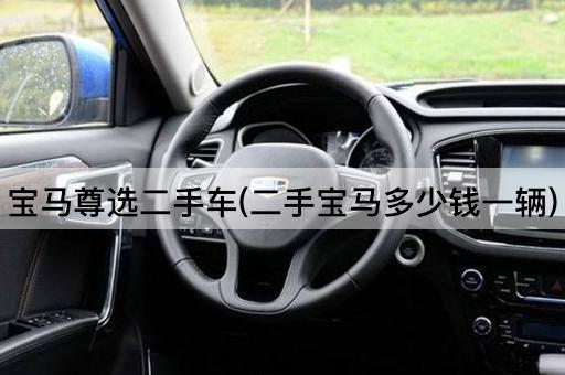 宝马尊选二手车(二手宝马多少钱一辆)