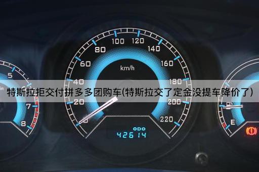 特斯拉拒交付拼多多团购车(特斯拉交了定金没提车降价了)