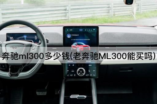 奔驰ml300多少钱(老奔驰ML300能买吗)