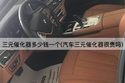 三元催化器多少钱一个(汽车三元催化器很贵吗)